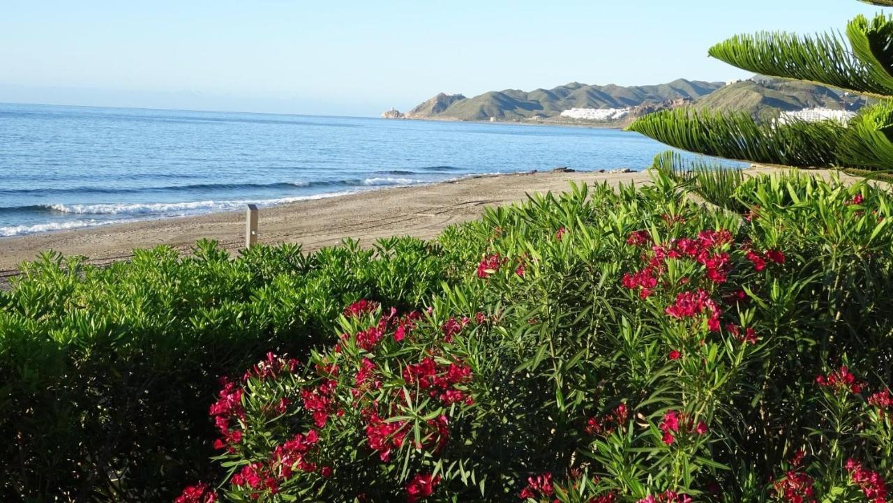 Atico Helena Con Solarium Y Jacuzzi Privado En Laguna Beach ベラ エクステリア 写真